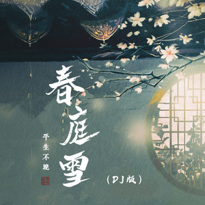 春庭雪 (DJ-lucky小阳版×0.8倍速)