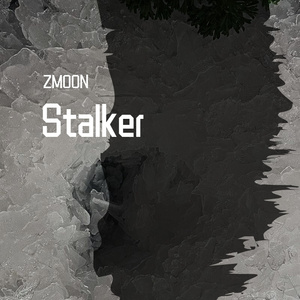 stalker2
