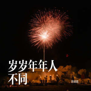 岁岁年年人不同