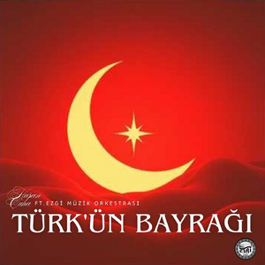 Türk'ün Bayrağı