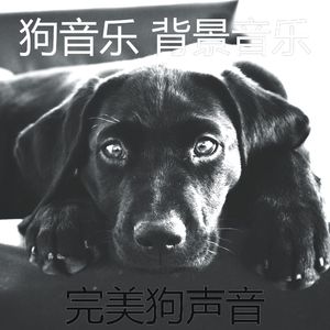 温和幼犬梦想