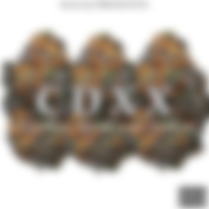 Mobil (feat. Blackheart Adonis)