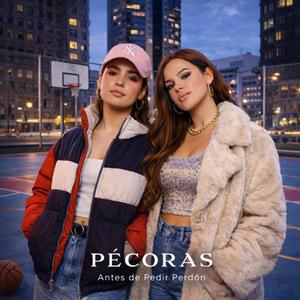 Antes De Pedir Perdón