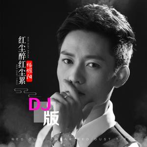 红尘醉红尘累 (DJ版)