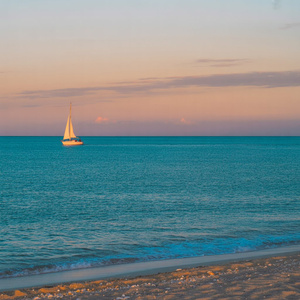 낱말이 닿는 곳에