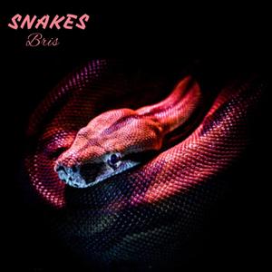 Snakes