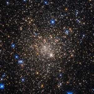 estrella