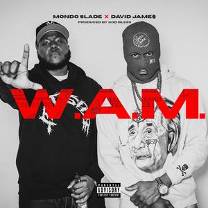 W.A.M. (Walk Around Money) (feat. David Jame$)