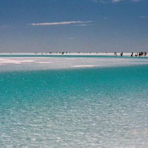 潮汐刻度（Prod Daisy Beat）