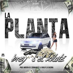 La Planta