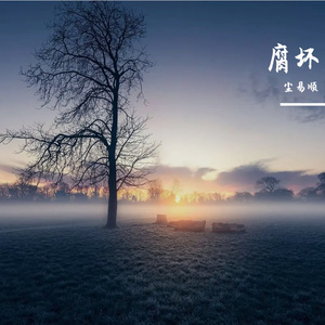 冬夜的柔光