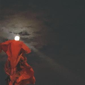 温柔 acoustic ver.（翻自 五月天）