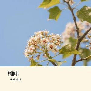 梧桐巷