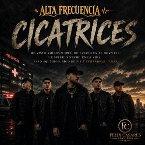 Cicatrices