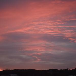 It’s always been you