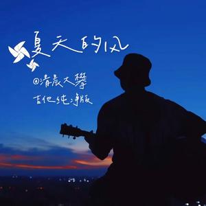 夏天的风（吉他纯净版）