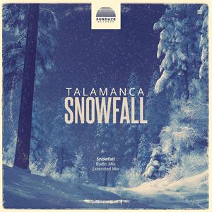 Snowfall (Extended Mix)