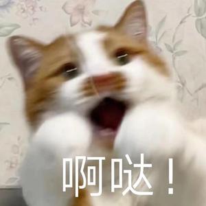 花间酒（片段）