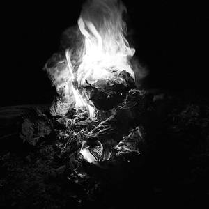 【Free】black flames