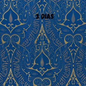 3 dias