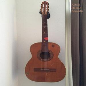 Disco Dino (Acoustic)
