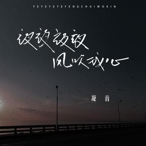 夜夜夜夜风吹我心 (DJ版)