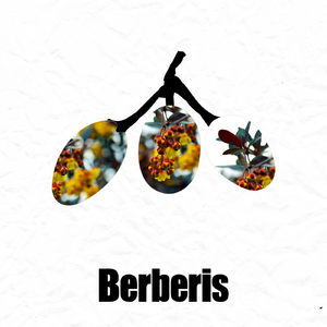 *** Slave (Original Mix)