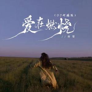 爱在燃烧  (DJ何鹏版)