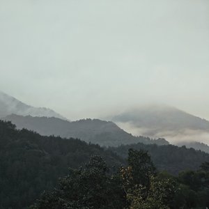 青山岁岁清欢