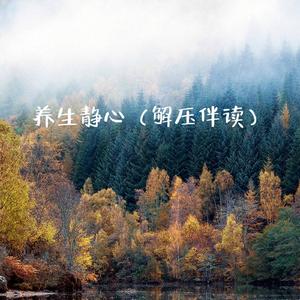 养生静心（解压伴读）