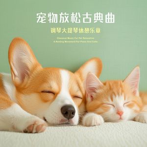 巴赫：G大调第一号无伴奏大提琴组曲，作品BWV 1007，第一乐章：前奏曲(阿里山森林晨光)