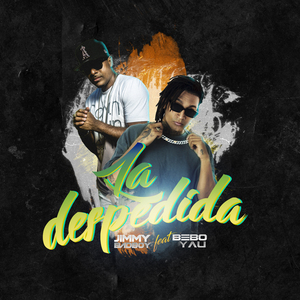 La Despedida (Remix)