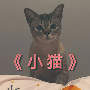 小猫