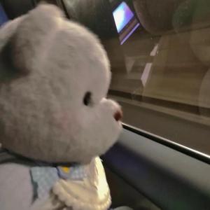 去北极忘记你（热播版）