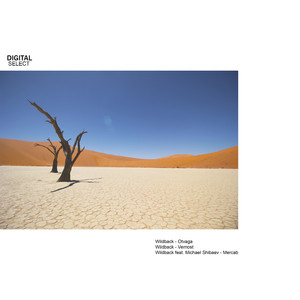 Vernost (Original Mix)