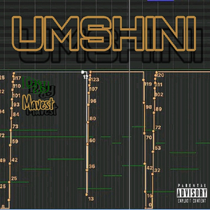 Umshini