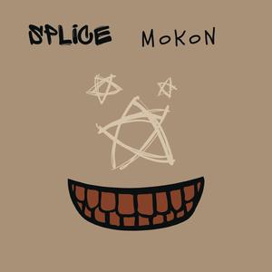 Splice