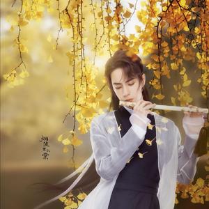 银杏少年(王一博23岁生日快乐)