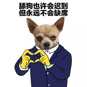 舔狗是爱不是病