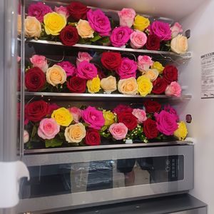 孤独时总会想起你2025