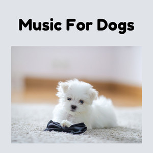 Music For Dogs