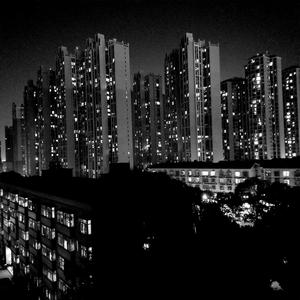 白山茶（翻自 陈雪凝）