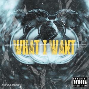 What I Want