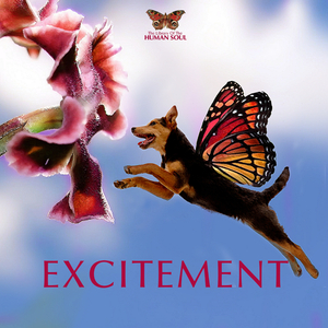 Astounding (Ambient)