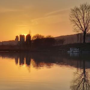 어머니의 굵어진 손마디