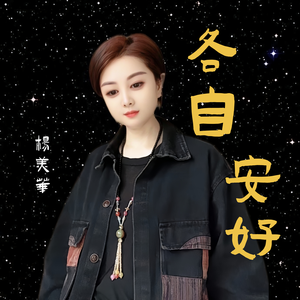 各自安好-（DJ淡漠版）