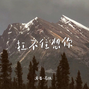 扛不住想你