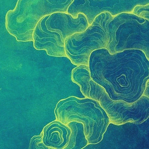 两个办公楼的画家