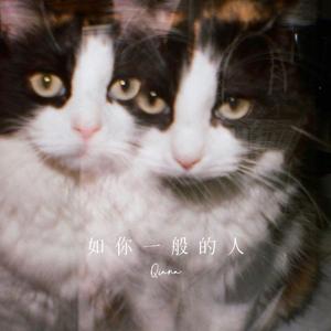 如你一般的人