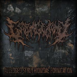 Alledged Struthionidae Fornication